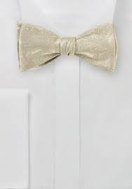 Nwt ermenegildo zegna white and gold bow tie solid tie 100% cotton italy new. Paisley Silk Bow Tie In Golden Champagne Bows N Ties Com