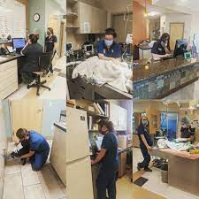 Since 1992, university veterinary hospital & diagnostic center is exceptionally proud to provide dogs, cats, and their. University Veterinary Hospital Diagnostic Center 29 Photos 91 Reviews Veterinarians 952 E 900th S Salt Lake City Ut Phone Number