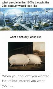 25 Best Memes About Pig Oats Meme Pig Oats Memes