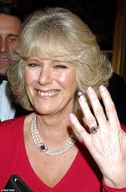 Camilla felt accepted after perfect speech by the Queen