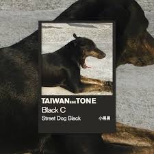 taiwanesetone on instagram taiwanesetone street dog black 小黑黑 熱情的台灣 人對流浪狗也是那麼親切 路上的黑狗就叫小黑 白狗就叫小白 喊著喊著就親近了 we taiwanese are street dogs dogs animals