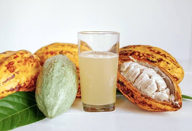 Jugo de pulpa de cacao