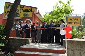 Meb Nin Ilk Hayvan Hastanesi Hizmete Uskudar Da Acildi