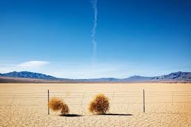 Maybe you would like to learn more about one of these? Scientists Plan To Kill Off The American West S Tumbleweeds Smart News Smithsonian Magazine