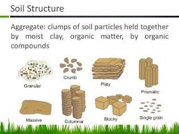 Soils Sustain Life Warren Co Swcd In 2020 Soil Texture Soil Soil Testing