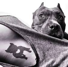 Black And White Pitbull Tattoos Cute Little Pitbull On The Girl 39 S Ribs Style Blackwork Color Black Tags Cool Cute Dog Tattoos Pitbulls Pitbull Tattoo