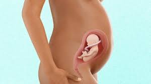 29 Weeks Pregnant: Symptoms & Signs | Babycenter