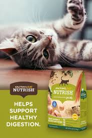 Real Chicken Cat Food Recipe In 2020 Chicken Cat Cats Cat Food