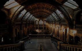 A collection of the extraordinary and the mysterious. Cabinet Of Curiosities Grim Mild