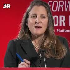 @efloresmonsanto's video Tweet