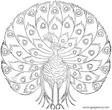 Peacock coloring page for adults. Abstract Peacock Coloring Pages Peacock Coloring Pages Coloring Pages For Kids And Adults