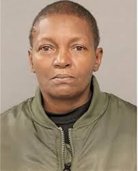 ᐅ Illinois Criminal Records 2009-2025