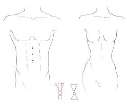 Differences Male Female Figures I Draw Fashion Fashion Drawing Tutorial Fashion Drawing Fashion Illustration Face
