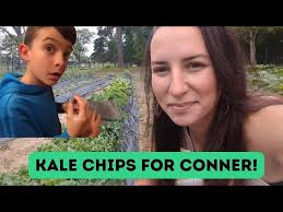 Kale Chips For Conner