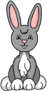 Hase Zeichnen Lernen Eine Einfache Anleitung In 7 Schritten Hase Zeichnen Osterhase Zeichnen Zeichnen Lernen