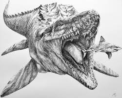 Mosasaurus 50x40 Cm Pencil Made In Commission Dieren Tekenen Draken Tekeningen Oceaandieren