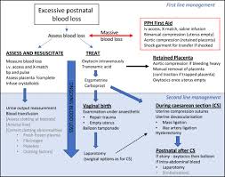 Image result for Active Management of Labor