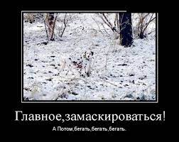 Демотиваторы №602 (30 фото)