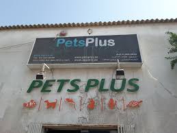 Add your vet and pet rx info, then chewy handles the rest. Pets Plus Pet Grooming Centres In Al Quoz Industrial 3 Dubai