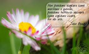  я хочу жить в италии. Joan Baez Non Possiamo Scegliere Lio Site Joan Baez Citazioni Belle Parole