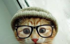 When we think about cat names then without disney cat names it not fullfilled. 151 Unique Cat Names Easiest Way To Find Great Names
