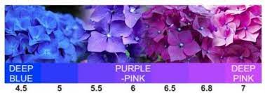Pin On Gardening