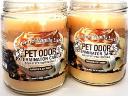 My peter pepper made the news anchor, steve levy, of abc news in philadelphia blush. Pet Odor Eliminator Candles Caramel Vanilla Latte Lovelypet