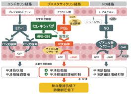 Avermitilisの胞 の電 顕微鏡像 特別企画 大村智博士と梶田隆章博士の2015年ノーベル賞受賞 学術の動向 2016.2 15 池田治生（いけだ はるお） 北里大学北里生命科学 研究所. Http Pharmacol Or Jp Cms Wp Content Uploads 2020 04 Outstandingdrugsdeveloped J Pdf