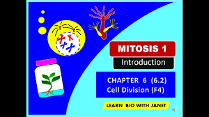 Cell structure and function hey students. Biology Form 4 Kssm Chapter 6 6 2 Mitosis 1 Youtube