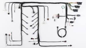 I just want to see if i can use the stock harness, and comptuer i got with the engine. Wire It Up Ls Swap Harness Options On A Budget