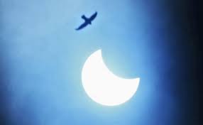 The proposal to observe yoga day was. Solar Eclipse 2020 Highlights Suryagrahan Ring Of Fire Visible From Parts Of India