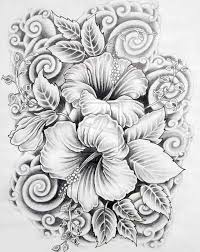 Black And White With Color Drawing No Color Drawings Google Search Flower Drawing Design Pencil Drawings Of Flowers Flower Sketch Images