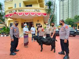 Home program pondok proposal permohonan hewan qurban idul adha 1438 h. Kapolsek Tanjung Duren Salurkan Bantuan Hewan Qurban Divisi Humas Polri