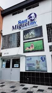San Miguel Medicina Veterinaria
