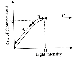 Directly affects the rate at which photosynthesis can take place masking the effects of the other factors. How The Light Intensity Affects The Rate Of Photosynthesis Biology Q A Doubtnut