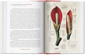 See 21 traveler reviews, 78 candid photos, and great deals for hostel & garten eden, ranked #13 of 136 specialty lodging in leipzig and rated 5 of 5 at tripadvisor. Ein Garten Eden Meisterwerke Der Botanischen Illustration Bibliotheca Universalis Taschen Verlag