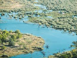 Check spelling or type a new query. Rundflug Uber Das Okavango Delta The Travelogue