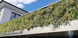 Vážení klienti, dovoľujeme si vás informovať, že počas štátneho sviatku 5.7.2021 (pondelok) budú všetky pobočky raiffeisen banky zatvorené. Raiffeisen Bank Sempergreen