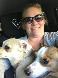 Introduction to full-time rv travel with dog