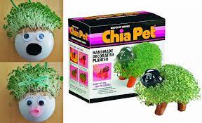 Diy chia pet t(w)een kit by: Grow Your Own Chia Pet A One Of A Kind Diy Ornament