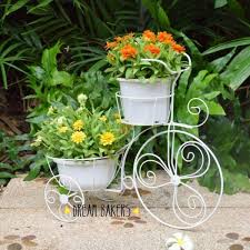 Check spelling or type a new query. Ghivece Plante Decorative Idei Pentru Gradina