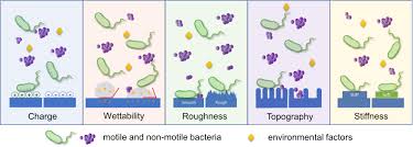 We did not find results for: Frontiers Implication Of Surface Properties Bacterial Motility And Hydrodynamic Conditions On Bacterial Surface Sensing And Their Initial Adhesion Bioengineering And Biotechnology