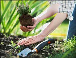 Suburban landscape supply invites you to visit our landscape supply yard. Salisbury Garden Supplies