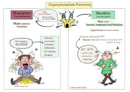 Image result for Cholinergic Toxicity