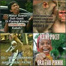 Pin Oleh Amira Safira Di Dj Jangan Nget Ngetan Gambar Lucu Lucu Meme Lucu