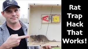 A Rat Trap Hack That Works How To Catch More Rats Mice Mousetrap Monday With Shawn Woods