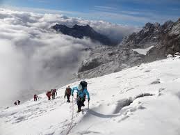 Trekking in this hidden paradise at the central circuit trail. Margherita Peak Rwenzori Mountains Trekking Uganda Safarifrank