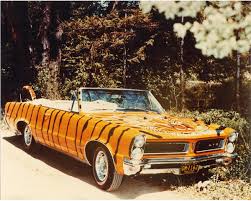 Image result for Tiger Gold 1965 GTO
