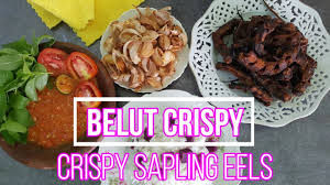 Masukkan belut goreng dan daun kemangi, masak sebentar lalu. Cara Membuat Belut Goreng Jadi Super Krispi Dengan Sambal Yang Pedas Dan Bawang Putih Goreng Youtube