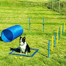 These make up a course where you go through each obstacle in order and your dog based on their speed, how they handle each obstacle (foot positioning, the height of the jump, etc…), and the number of faults will be scored to come up with a competitive ranking for the course. Amazon Com Sowsun Dog Agility Equipment Outdoor Games Exercise Training Obstacle Course Hurdles For Jumping Practice Agility Starter Kit With Carrying Case Sowsun Pet Supplies